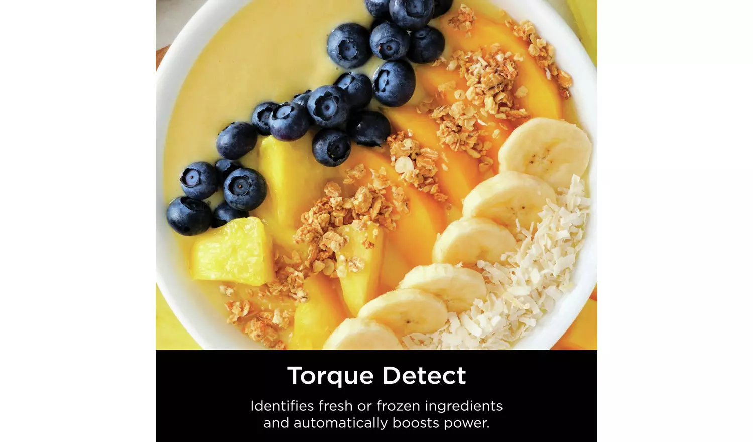 Ninja TB201UK Detect Power Pro Blender