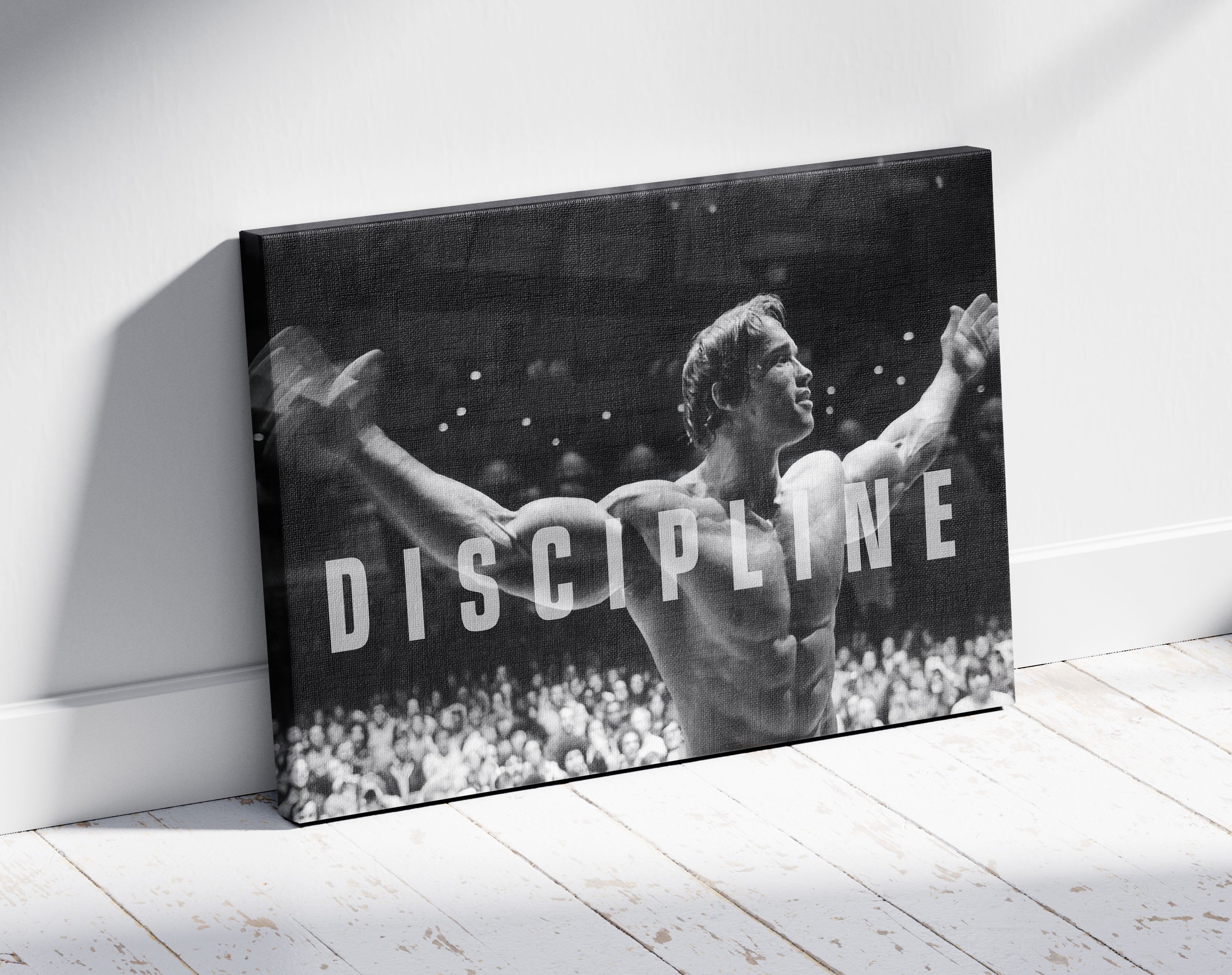 Discipline