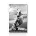 Grey Gallop