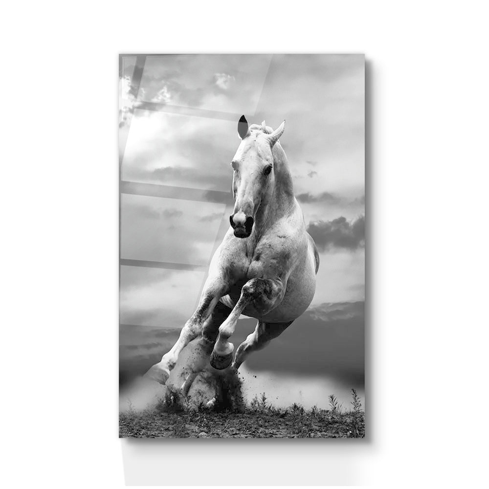 Grey Gallop