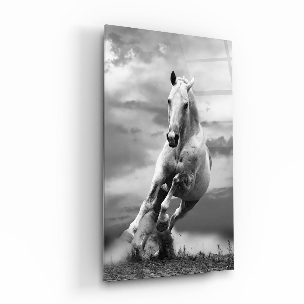 Grey Gallop