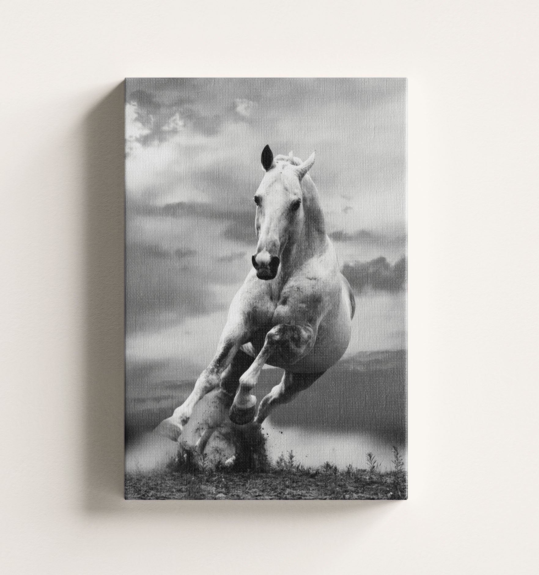 Grey Gallop