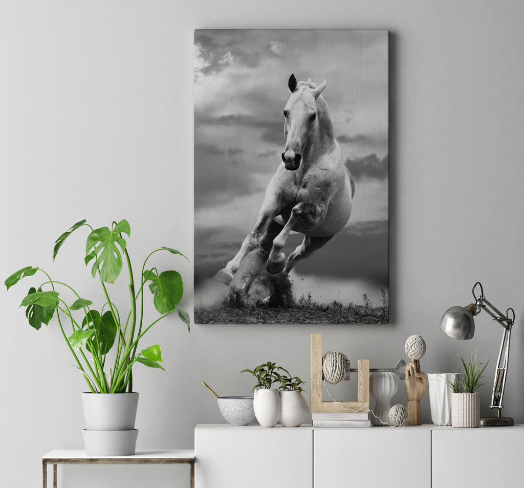 Grey Gallop