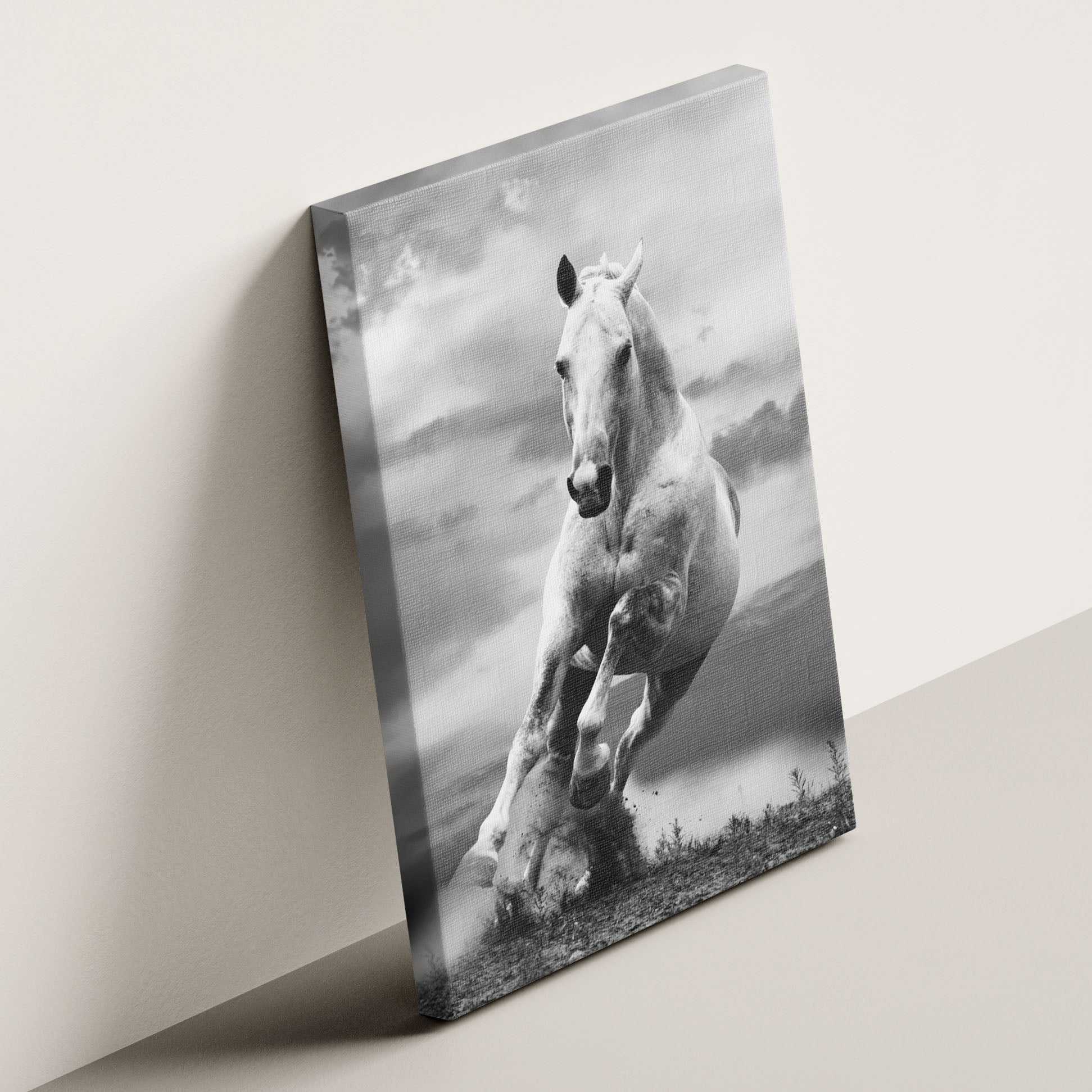 Grey Gallop