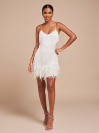 Women's Mini Dress – Fringe Christmas Party Feather Trim
