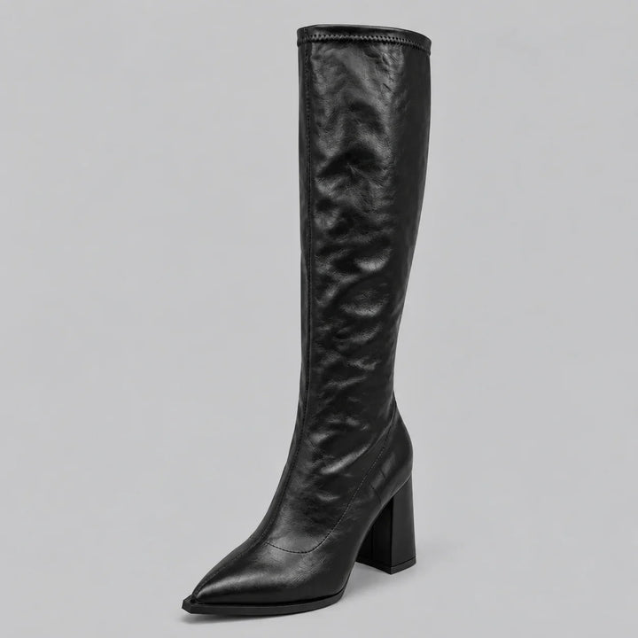 Women's Pointed Toe Knee-High Boots – Chunky Block Heel